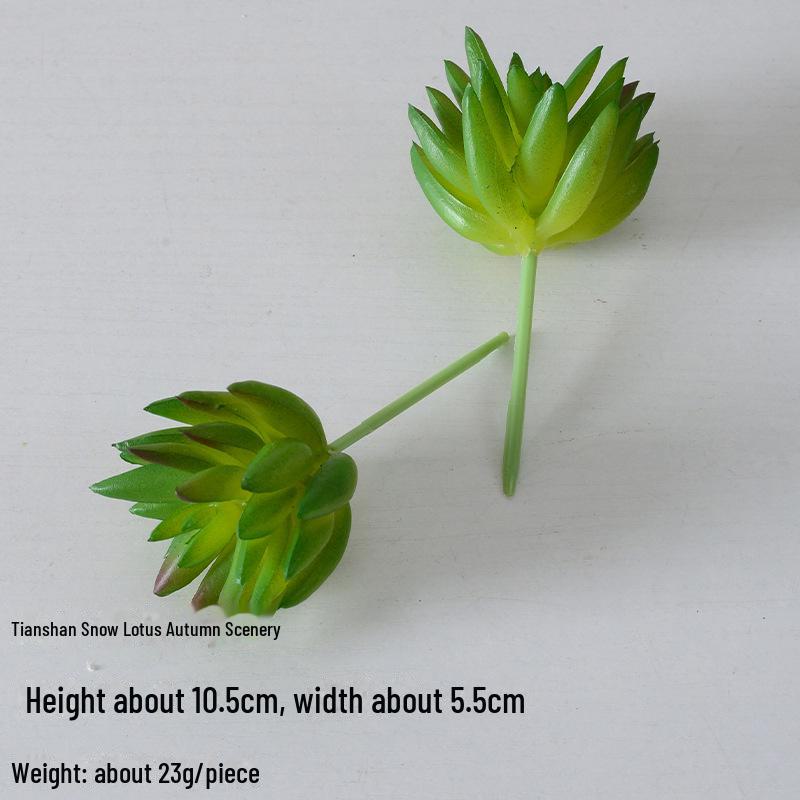 Mini Flocking Artificial Succulent Bonsai for DIY Wall Decor