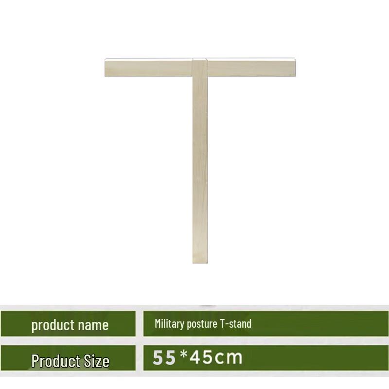 Posture Training Frame