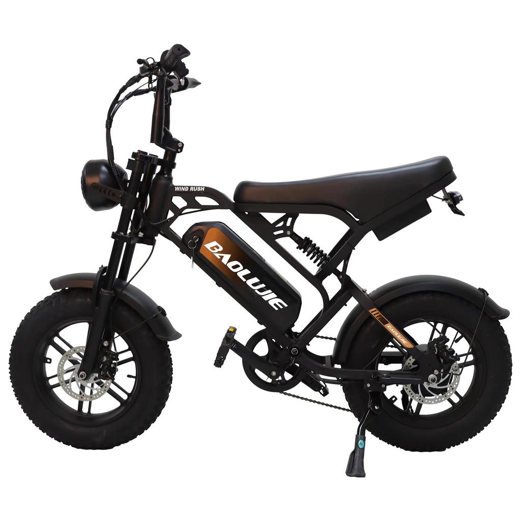 Electric bicycle F2 500W E-bike with 48V 13Ah battery, 16 inch tires, shoulder suspension, top speed of 45 kilometers per hour, mechanical disc brake