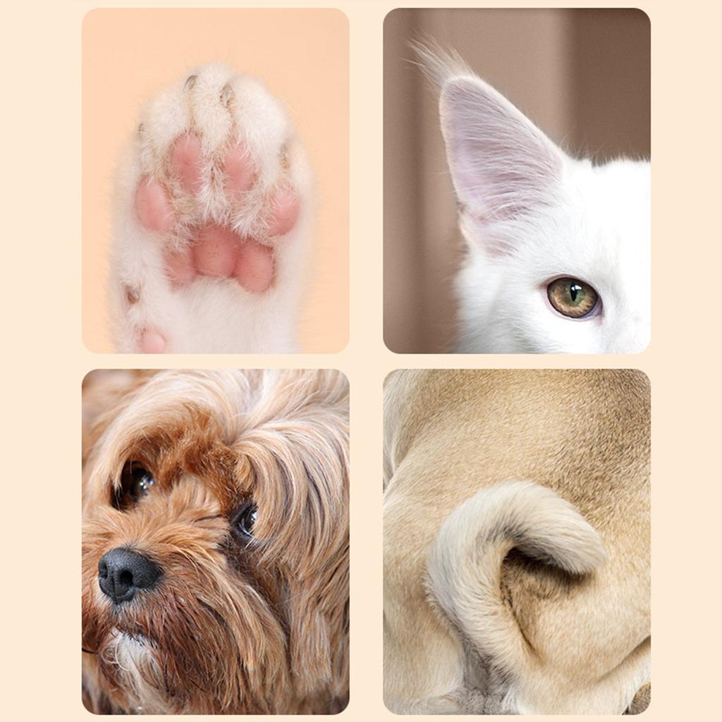 Бритва для стрижки кошек с подсветкой, низким уровнем шума, USB-зарядка, набор триммеров для шерсти домашних животных, подходит для собак и кошек с длинной шерстью