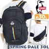 Рюкзак Chums Day Pack Spring Dale 30 Мужской Черный Радужный