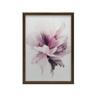 Subtelny Dotyk Kwiatu Subtelny Dotyk Kwiatu, 50X70 Cm, Rama Drewniana Ciemny Brąz, Papier Matowy 230 Gsm
