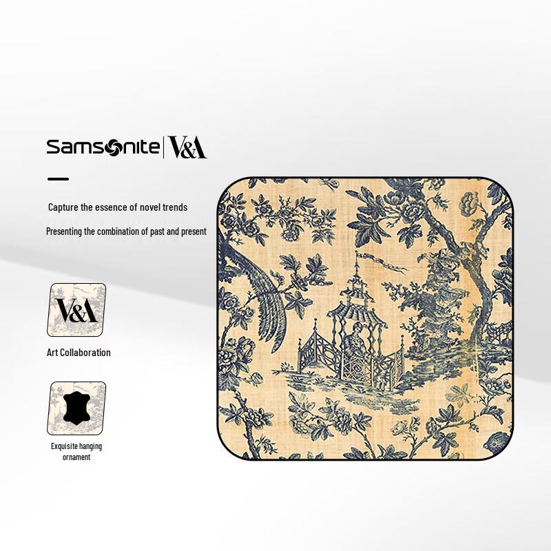Женский модный рюкзак Samsonite серии NO0