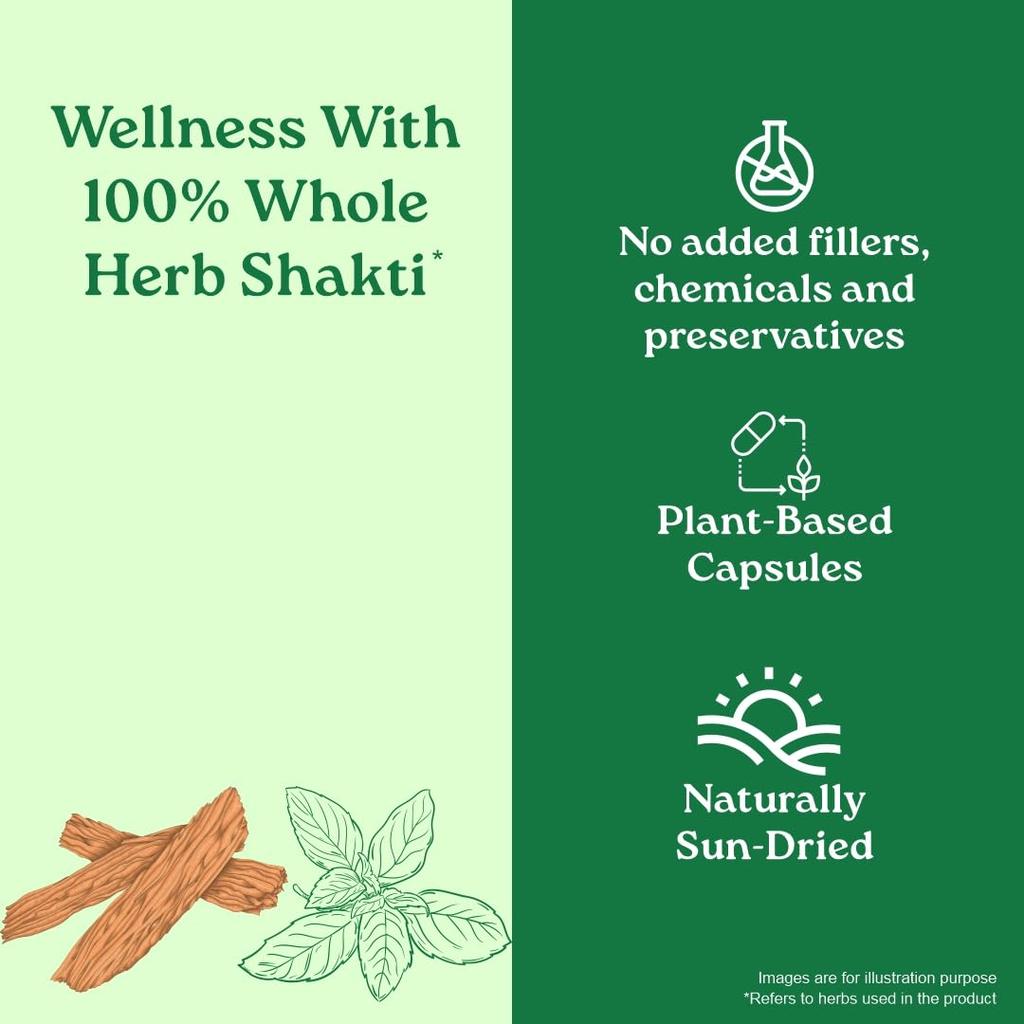 Organic India Lipid Care 60 Veg Capsules Pack of 2 Heart Health Cholesterol Support Supplement