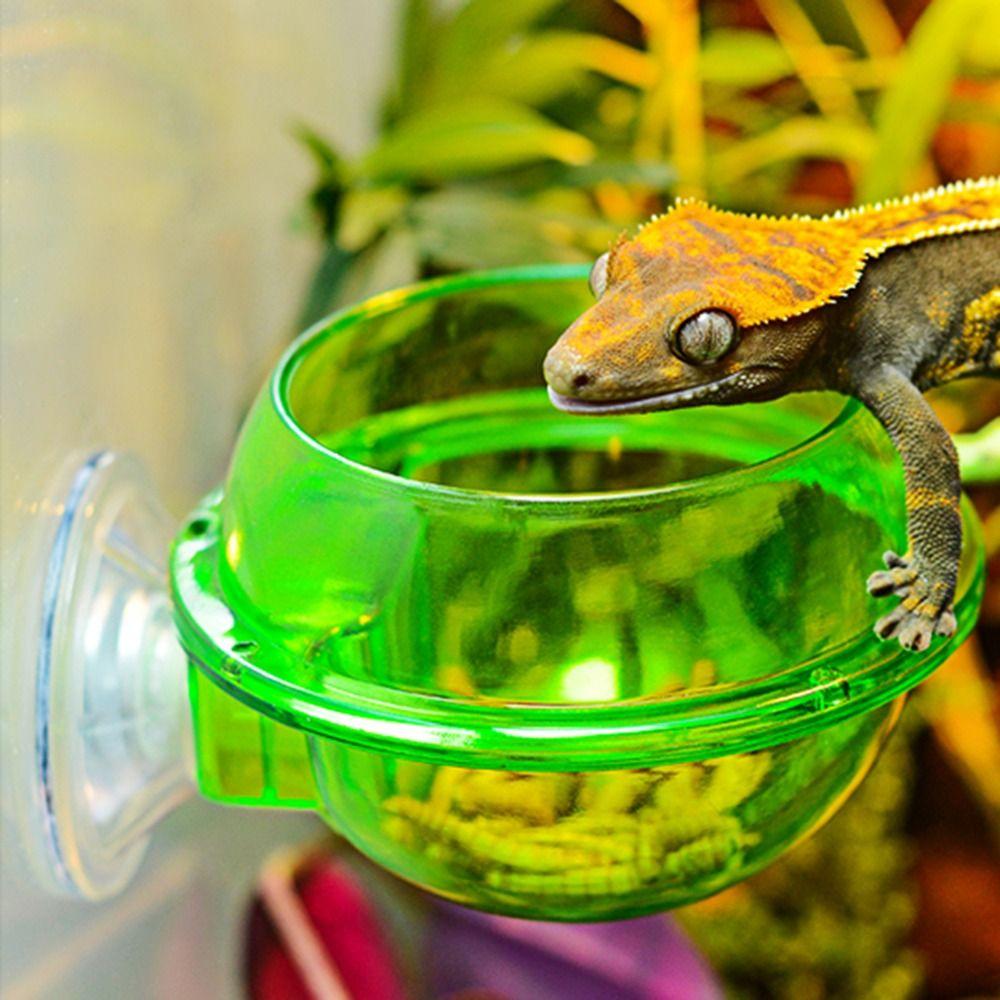 Контейнер для еды на присосках, защищенный от побега, Миска для кормления рептилий, Кормушка, Тарелка, Миска для червей