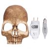Skull Night Light Plug Into Wall Funny Innovative Simulation Decorative Hand Crafted Halloween