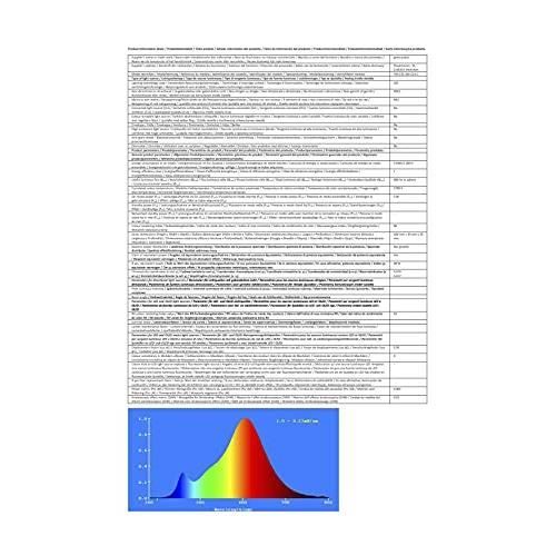 Greenandco 10x IRC 90+ Ampoule À Filament LED E14 3W (équivalent 28W) 300lm 2700K (blanc Chaud) 360° 230V Verre, Aucun Scintilleme