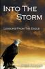 Книга Into the Storm