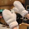Warm Winter Warm Gloves Touchable Screen Skiing Gloves New Touch Screen Gloves  Outdoor Sports