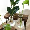 Creative Wooden Frame Hydroponic Plant Container Glass Bulb Vase Home Tabletop Decor Vases Beaker Glass Planter Bonsai