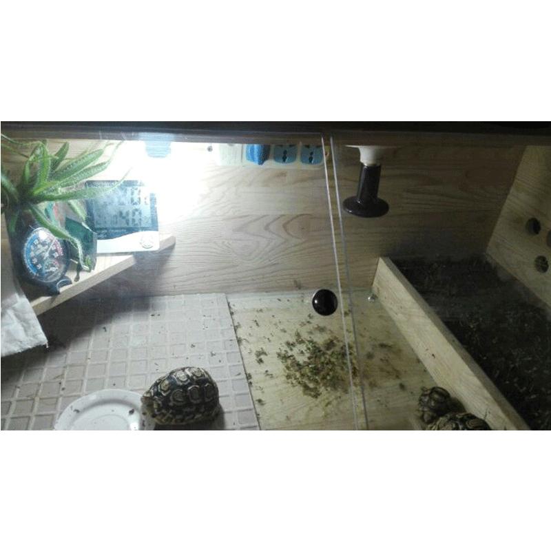 Reptile Lamp Pet Heating Light 110V 220V Infrared Ceramic Emitter Heat Light Bulb Pet Brooder Chickens 25/50/75/100/150/200W Pet Brooder Lamp