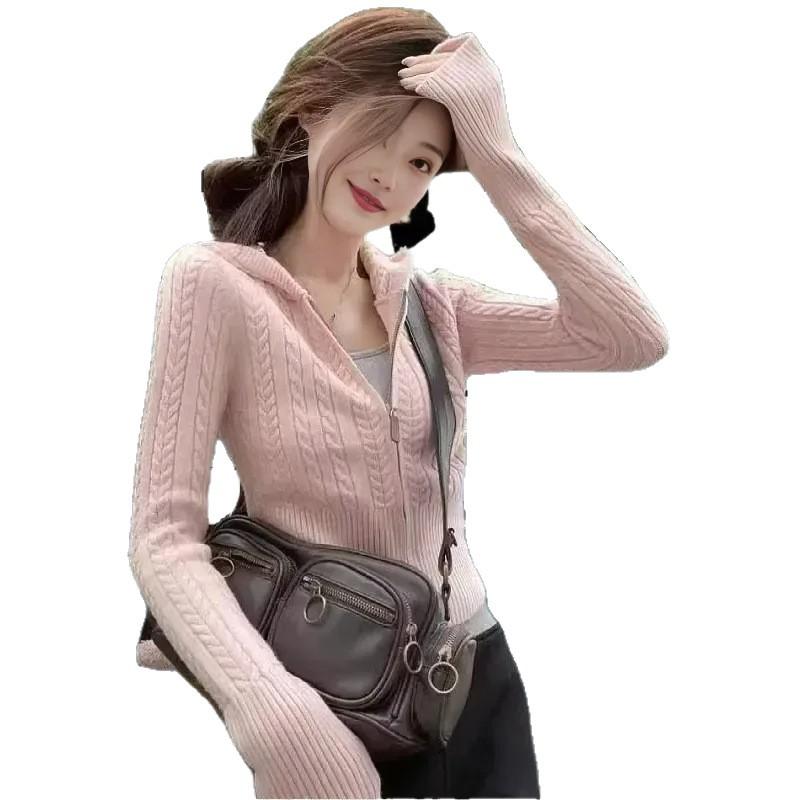 Маленький кардиган с капюшоном, вязаный косичкой, женский, весенний, новый, облегающий и тонкий, короткий свитер-жакет, топ