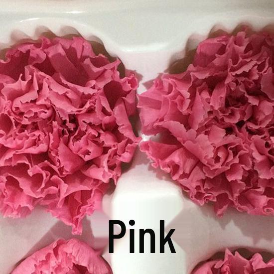 Preserved Yunnan Carnation Flowers – Perfect Mother’s Day and Birthday Gift