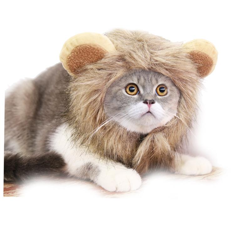 Halloween Lion Costume Ghost Festival Pet Dog Cat Hat Adjustable Dog Supplies Cat Clothes Accessories Autumn Winter
