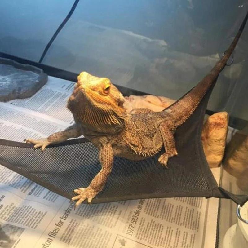 Reptile Hammock Lounger Ladder Accessories Set for Large Small Bearded Dragons Anole Geckos Lizards or Snakes Reptile Accessorie