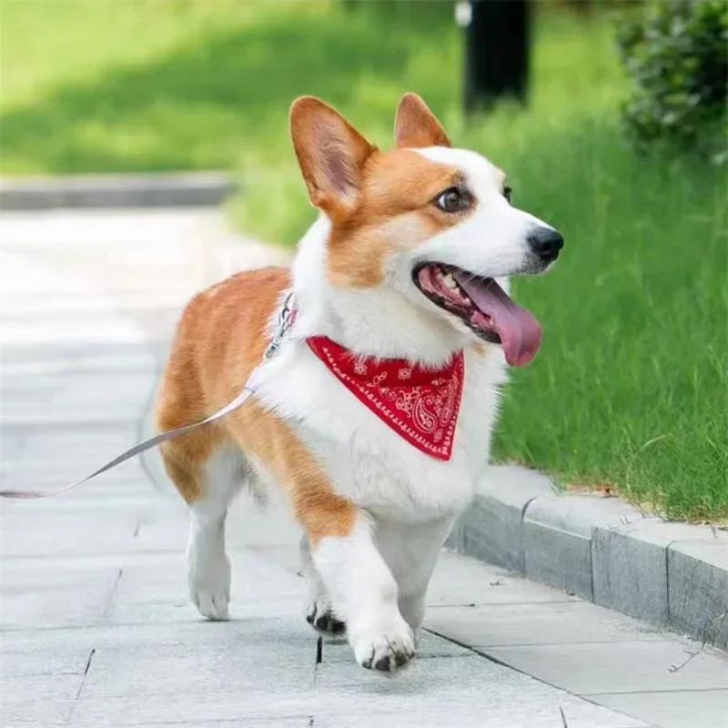 Регулируемый шарф для домашних животных, щенков, кошек, ошейник-бандана, шарф для маленьких собак, полотенце для слюны котенка, ошейник из ПУ с треугольной повязкой