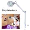 8X Illuminated Desktop Magnifying LED Lamp with Clamp Swivel Arm Reading Medical Beauty AU 220V