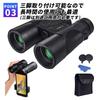 Wellvie 12x42 Binoculars with BAK4 Prism, High Magnification, Anti-Shake, Shockproof, Lightweight, Waterproof, Optical Lens, Opera Glasses,