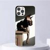 Lavaza Сфинкс Кот Сфинкс Мягкий Чехол Для iPhone 16 17 Air 16E 15 Plus 11 12 13 Mini 14 Pro Max Чехол Для Телефона Apple 7 8 SE Coque Fund