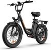 URLIFE E20 Multi Terrain Electric Bike For Adult 48V13Ah Battery 500W Motor E-Bike 20 Inch Fat Tires Urban Commuting Electric Bicycle With TowSeat