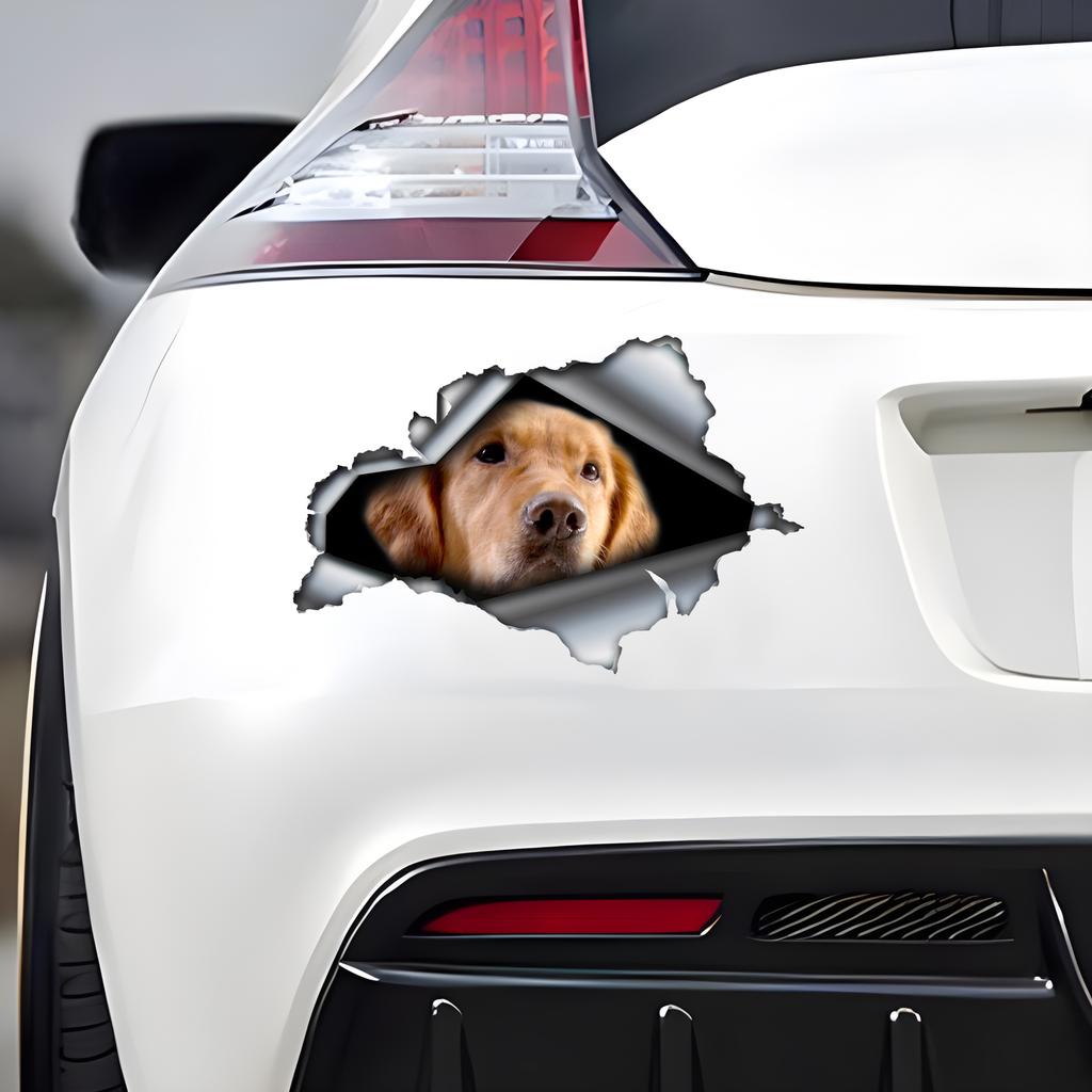Golden Retriever 3D Vinyl Car Sticker, Fun Insurance Bumper Sticker for Cars, Trucks, Motorcycles, Walls, Windows, PVC Material