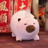 Pig Plush Charming Companion Toy Pillow Room Decor For Children And Giving Gift