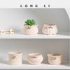 Ceramic Succulent Flower Pot, Vase Ornaments, Living Room, Home Decoration, Garden
