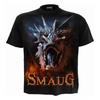 The Hobbit: The Desolation of Smaug Unisex Adult Back Print T-Shirt