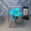 Акриловая фоторамка ваза Современная гидропонная ваза для цветов Настольный держатель для растений Украшение Домашний подарок Свадебный декор для центра стола