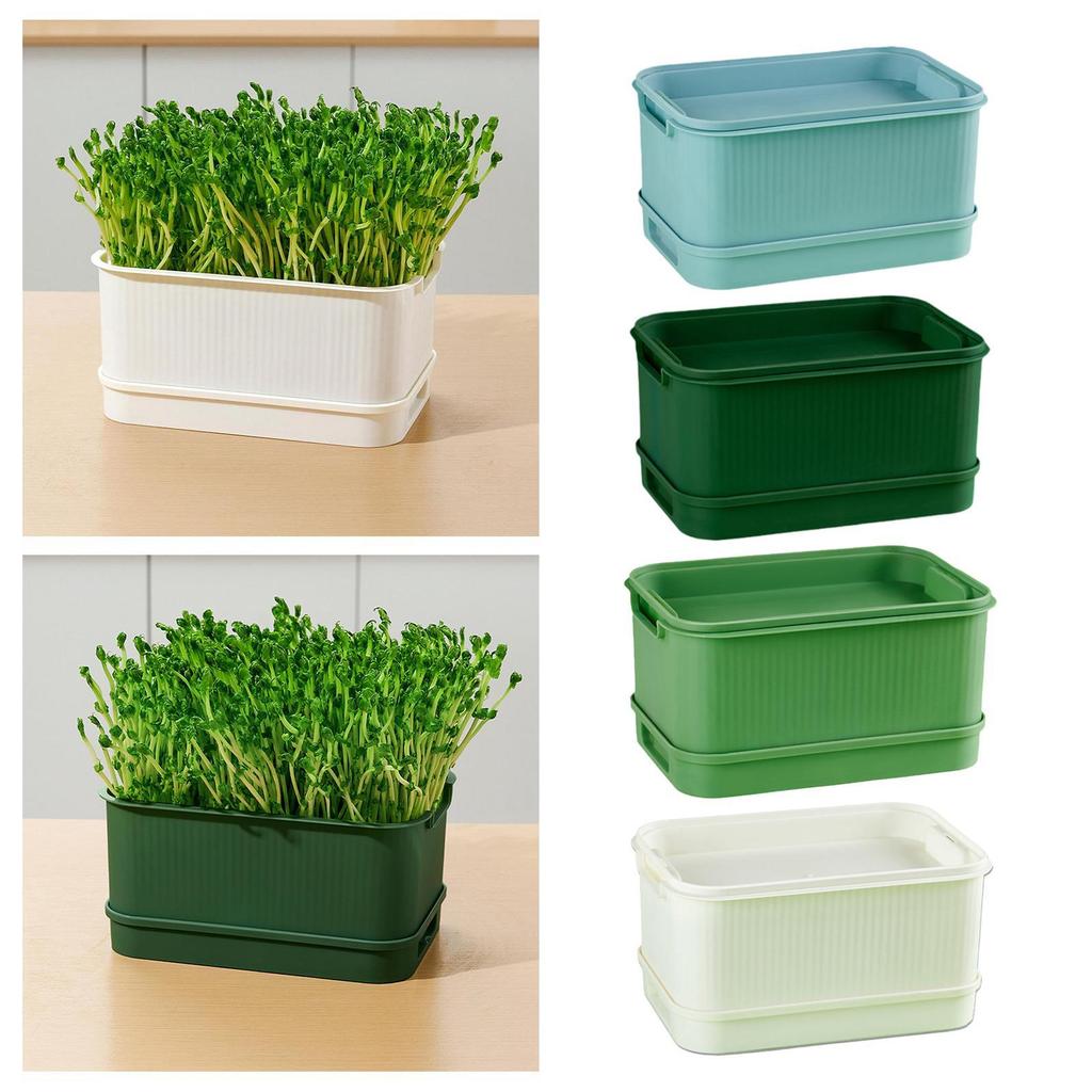 Лотки для рассады, Мини-теплички для проращивания, Многофункциональные контейнеры для выращивания ростков рукколы, ванили, брокколи