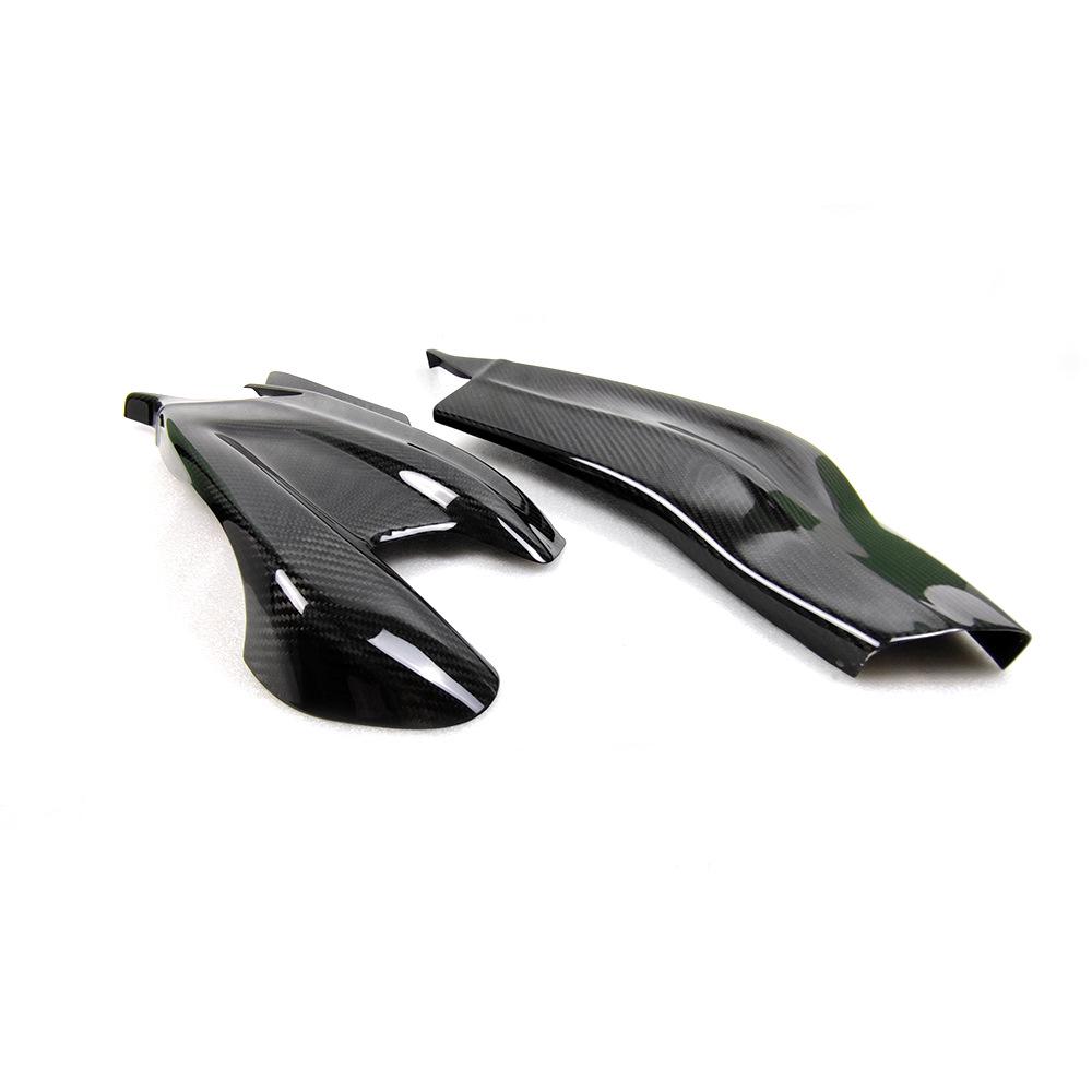 BMW S1000RR/S1000R Carbon Fiber Swingarm Cover (2009-18)