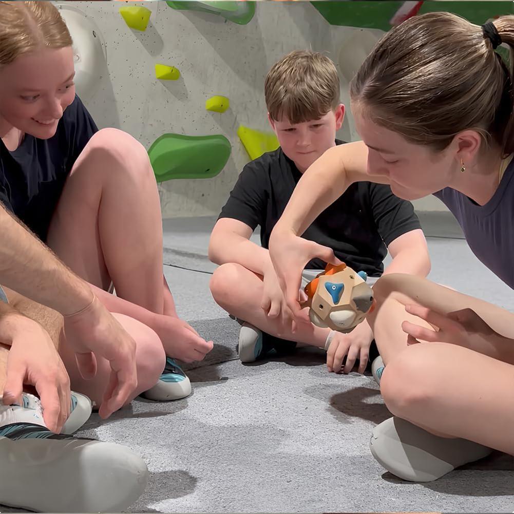 Изготовленные вручную боулдеринговые зацепы в виде булыжников Ручной работы Гигантские камни Увеличивают силу Точность Украшение Домашний декор Подарки