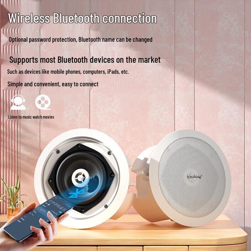 QIASHENG Wireless Bluetooth Ceiling Speaker System CN plug (adapter included) (CN version)