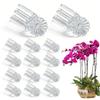 Прозрачные зажимы для растений орхидей в форме цветка, садовые зажимы для поддержки растений, для поддержки стеблей, лоз, стеблей, чтобы вьющиеся растения росли прямо