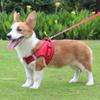 Reflective Lightweight Breathable Dog Harness with Leash - Soft Comfort Pet Vest for Dogs Cat (6 Colors)
