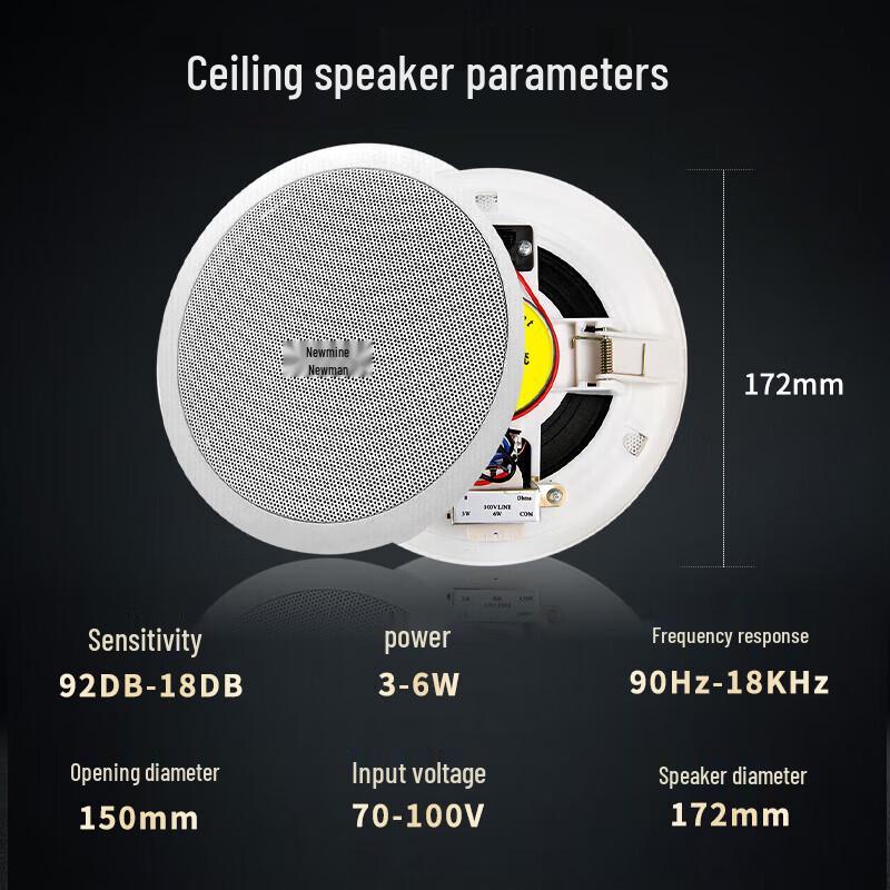 Newmine D168 5-inch Ceiling Speaker System (CN version)