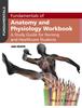 The Fundamentals of Anatomy and Physiology Workbook : A Study Guide for Nurses and Healthcare Students Book
