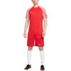Nike Спортивные шорты Dri Fit мужские Университетский красный IB8654-657
