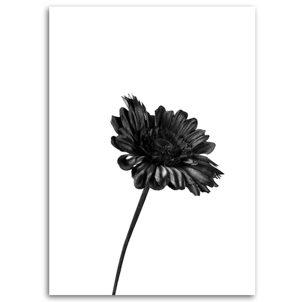 Canvas print, Single flower