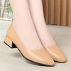 Soft Leather Rough Heel Single Shoes Women's Summer New Pointed Low Heel Women's Shoes White Work Shoes Women's Leather Shoes