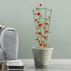 Stakes Plant Climbing Support Frame Trellis Flowers Stand Cage Tree Garden Plant Support Home Plant Care Soil Floral Arrangement