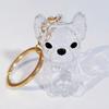 Dog Hair Collector Charm Keychain Transparent Pet Fur Keepsake Capsule Rabbit Memorial Pet Hair Collection Bottle Charm with Keyring Gift for