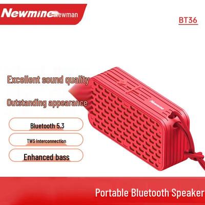 Портативная беспроводная колонка Newmine BT36, штекер CN (адаптер в комплекте)