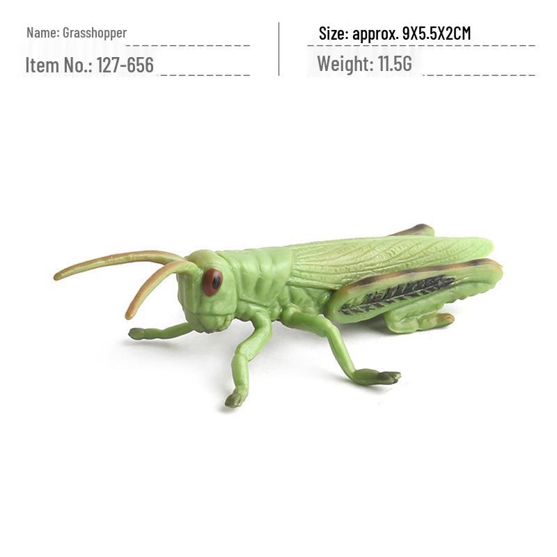 Набор детских познавательных моделей насекомых для трансграничной торговли