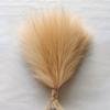 Искусственная пампасная трава бежевая 10 шт. маленькая искусственная помпасная трава декор для вазы искусственные пушистые пампасные цветы для дома свадебный бохо декор