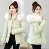 Women's Large Fur Collar Detachable Hood Windproof Short Slim Winter Jacket