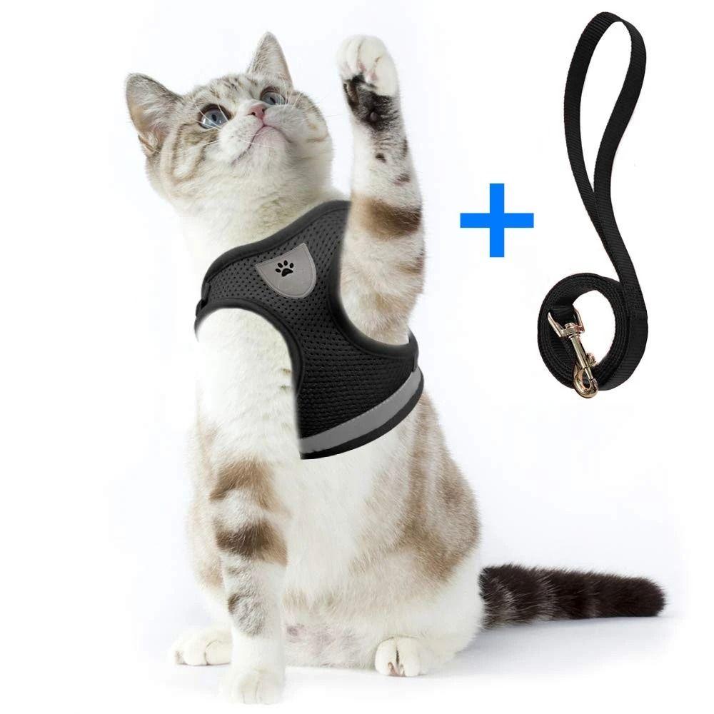 Mesh Pet Chest Strap Polyester Pet Vest Harness Easy Control Cat Dog Harness  Walking