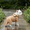1Pcs Pet raincoat cartoon  raincoat small dog dog clothing rain cape