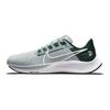 Кроссовки унисекс Air Zoom Pegasus 38 Michigan State Silver Silver-Wing Pro-Green DJ0833-001