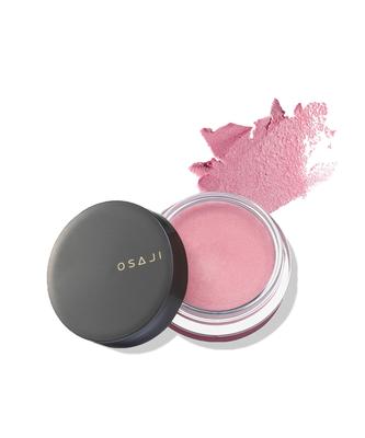 Osaji Nuance Face Color Тает в 03 Tsuioku [Нелипкий, Кожа, Полупрозрачный, Увлажняющий, Вдувной цвет] 5,5 г [Воспоминание]